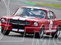 Ford Mustang Shelby GT 350
